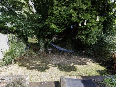 Picture 26